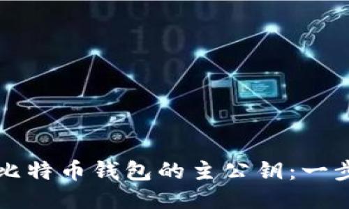 如何导出比特币钱包的主公钥：一步一步指南