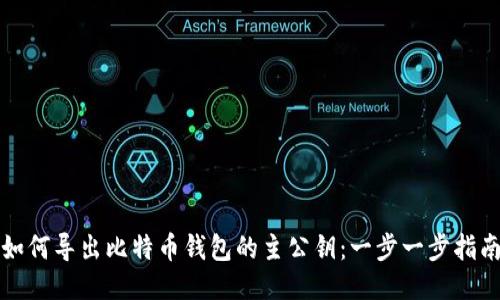 如何导出比特币钱包的主公钥：一步一步指南