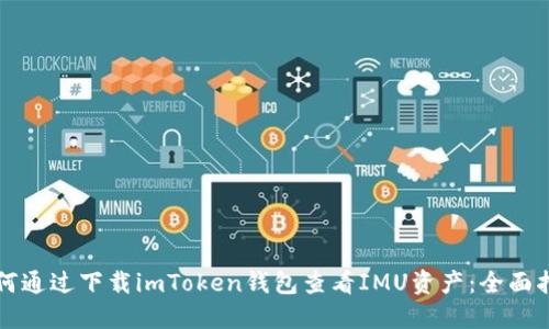 如何通过下载imToken钱包查看IMU资产：全面指南