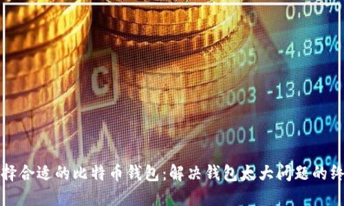 如何选择合适的比特币钱包：解决钱包太大问题的终极指南