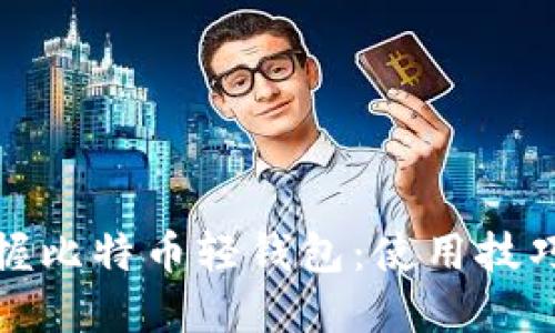 如何轻松掌握比特币轻钱包：使用技巧与安全策略