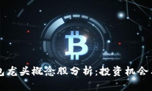 区块链钱包龙头概念股分析：投资机会与市场前景