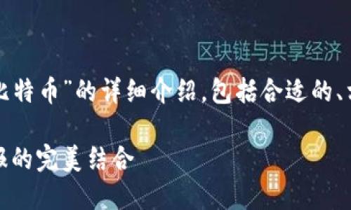 在这里，我将为您提供一个关于“用啥钱包放比特币”的详细介绍，包括合适的、相关关键词，以及关于比特币钱包的内容分析。

选择理想的比特币钱包：安全、便捷与投资回报的完美结合