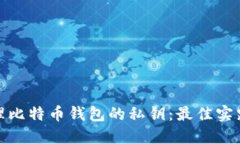 如何安全管理比特币钱包