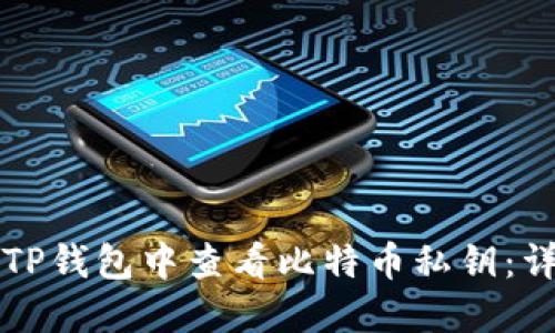 如何在TP钱包中查看比特币私钥：详细指南