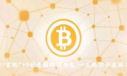 如何通过USDT实现T 0快速转账到钱包：一文教你快速操作与成功案例