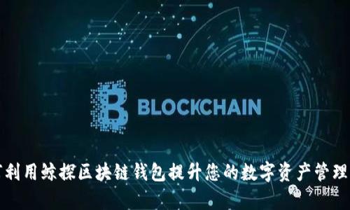 如何利用鲸探区块链钱包提升您的数字资产管理效率