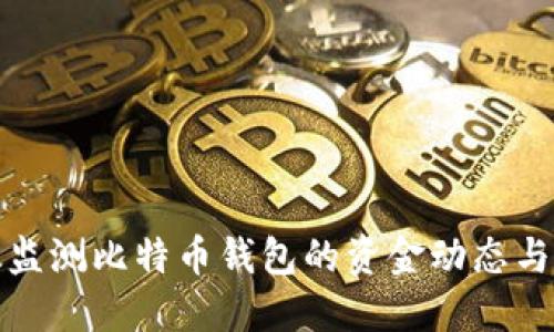 如何高效监测比特币钱包的资金动态与交易脚本