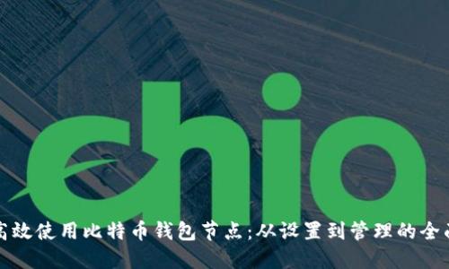 如何高效使用比特币钱包节点：从设置到管理的全面指南