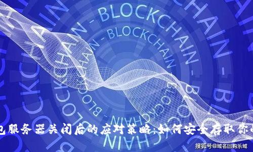 比特币钱包服务器关闭后的应对策略：如何安全存取你的数字资产