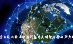 为什么将比特币放在钱包