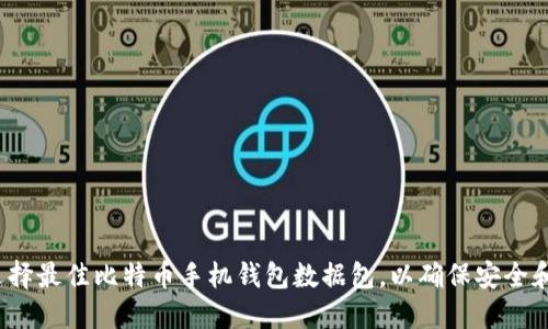 如何选择最佳比特币手机钱包数据包，以确保安全和便捷？