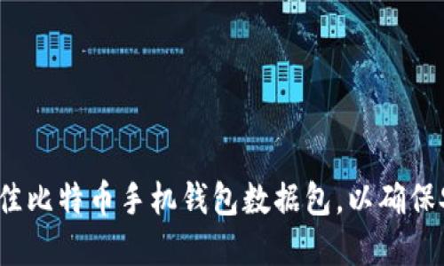 如何选择最佳比特币手机钱包数据包，以确保安全和便捷？