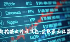 如何有效挖掘比特币钱包：获取最大收益的策略